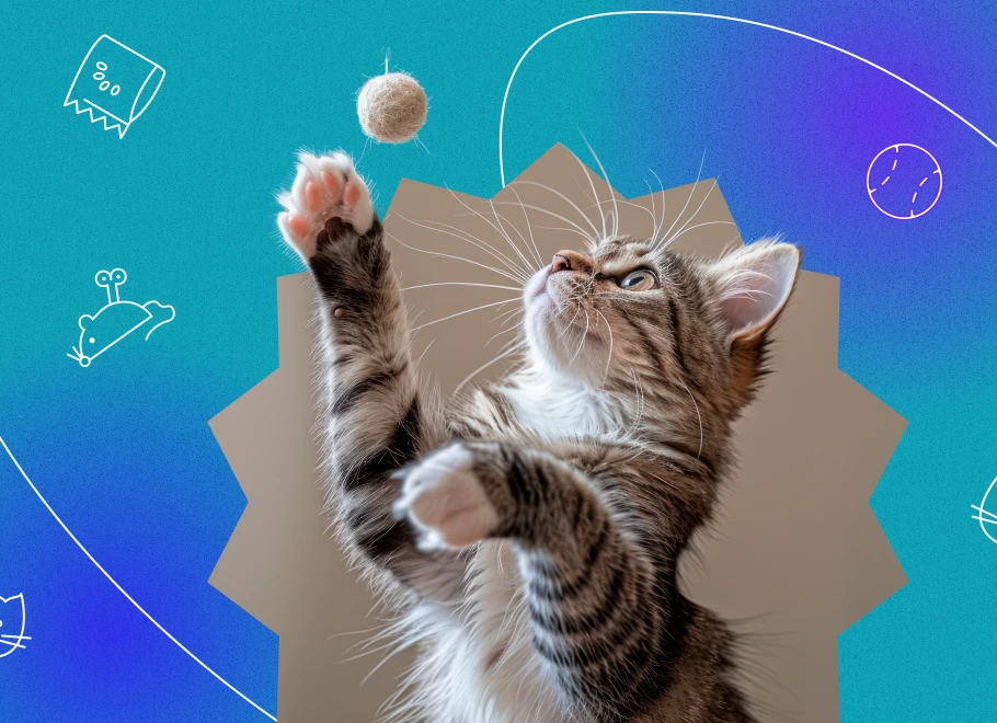 Keep Your Cat Entertained with This Innovative Toy